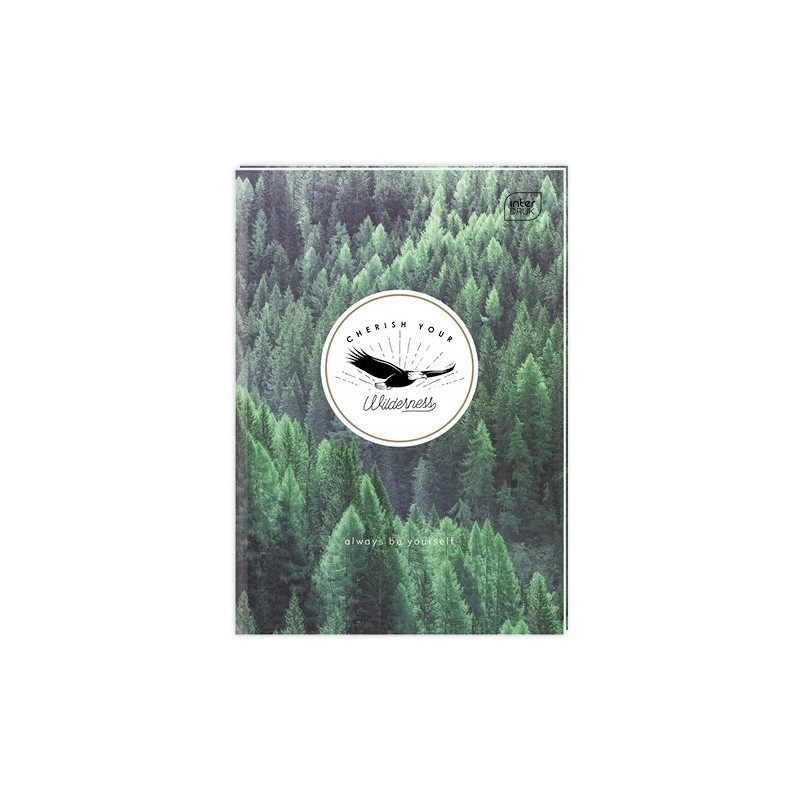 Brulion A5 96k linia mix wzorów twarda oprawa INTERDRUK