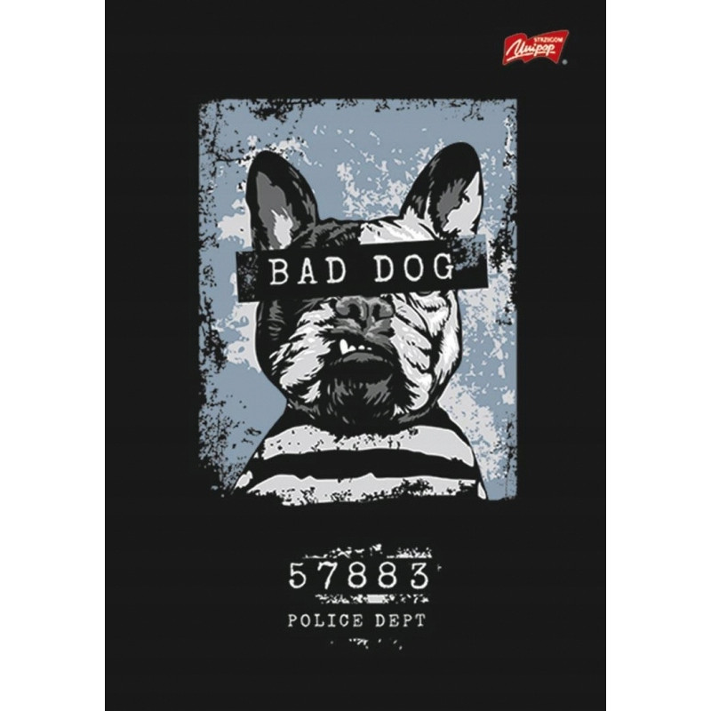 Zeszyt A4 60k linia laminowany UNIPAP