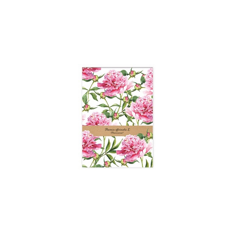 Notes A7 50k kratka ONE COLOR INTERDRUK