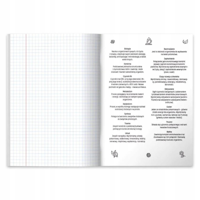 Zeszyt szkolny przedmiotowy A5 60 kartek w kratkę 70g BIOLOGIA 400197997 HERLITZ