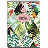 Zeszyt A5 80k kratka okładka miękka TROPICAL EL-M10-080-KA5 ELISA