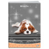 Zeszyt A5 32k kratka okładka miękka SWEET PETS EL-M13-032-KA5 ELISA