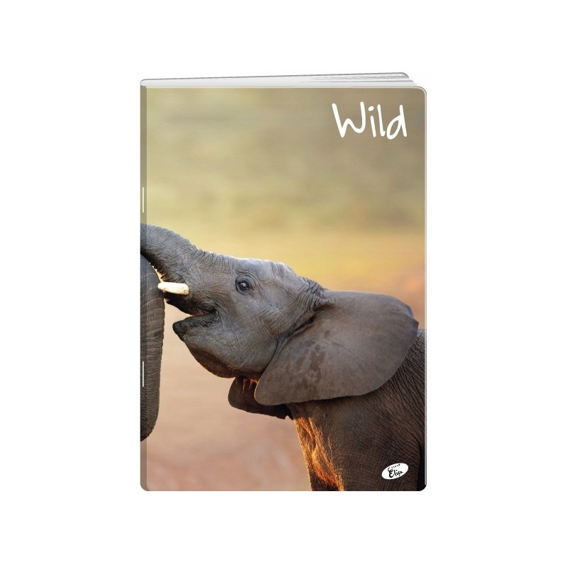 Zeszyt A5 32k kratka okładka miękka WILD EL-M6-032-KA5 ELISA