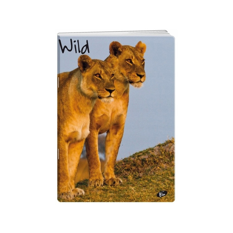 Zeszyt A5 32k kratka okładka miękka WILD EL-M6-032-KA5 ELISA