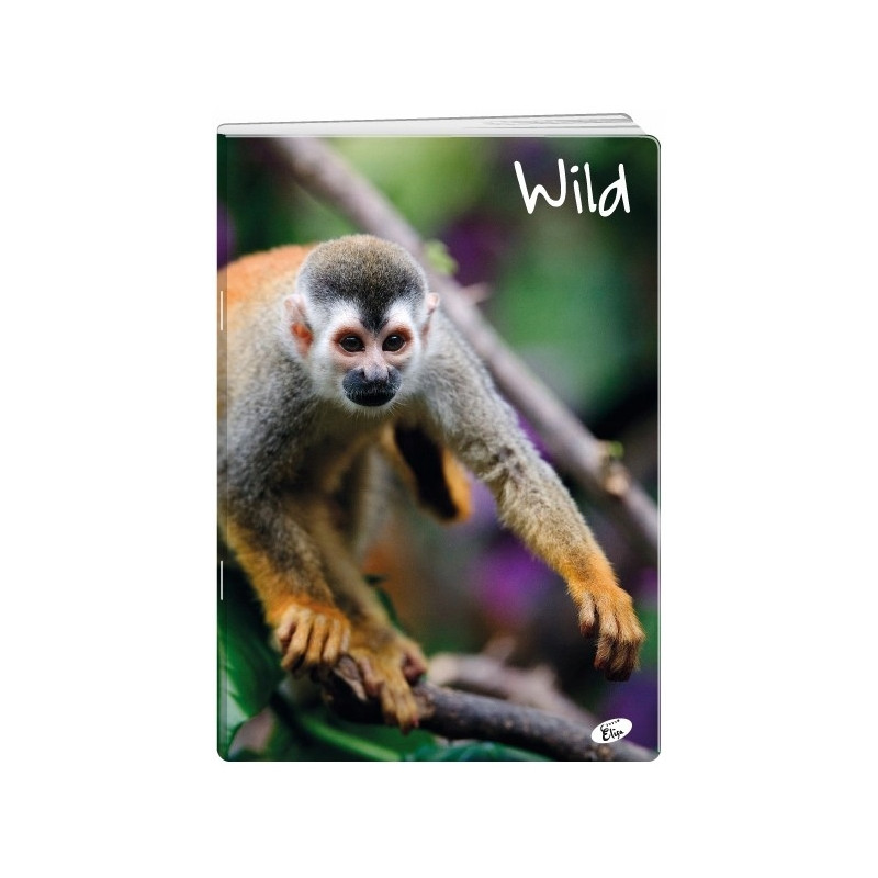 Zeszyt A5 32k kratka okładka miękka WILD EL-M6-032-KA5 ELISA