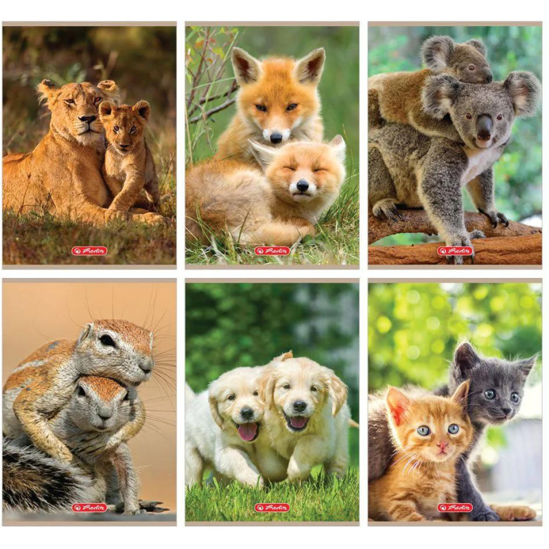 Zeszyt A5 32k 3linia ANIMALS 400197969 HERLITZ