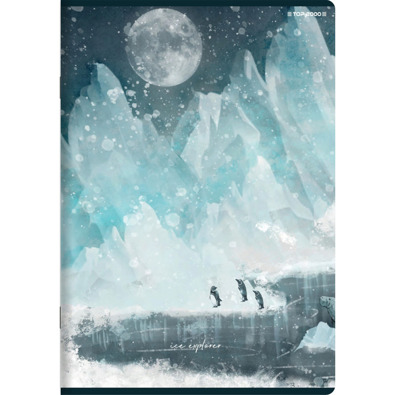 Zeszyt A5 60k linia margines 70g FOREST/ICE 400169413 TOP 2000