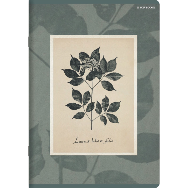 Zeszyt A5 60k linia margines 70g FLOWERS 400169420 TOP 2000