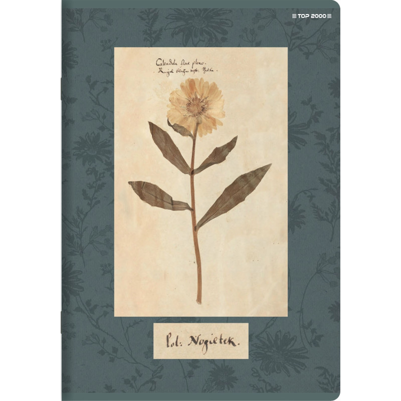 Zeszyt A5 60k linia margines 70g FLOWERS 400169420 TOP 2000