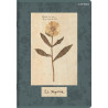 Zeszyt A5 60k linia margines 70g FLOWERS 400169420 TOP 2000