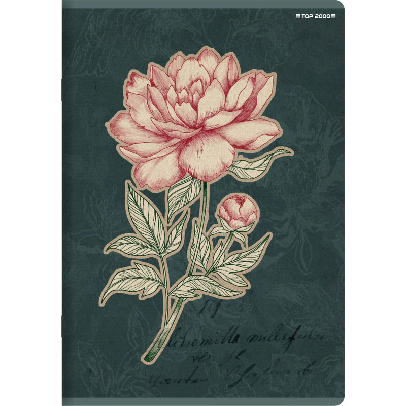 Zeszyt A5 60k linia margines 70g FLOWERS 400169420 TOP 2000