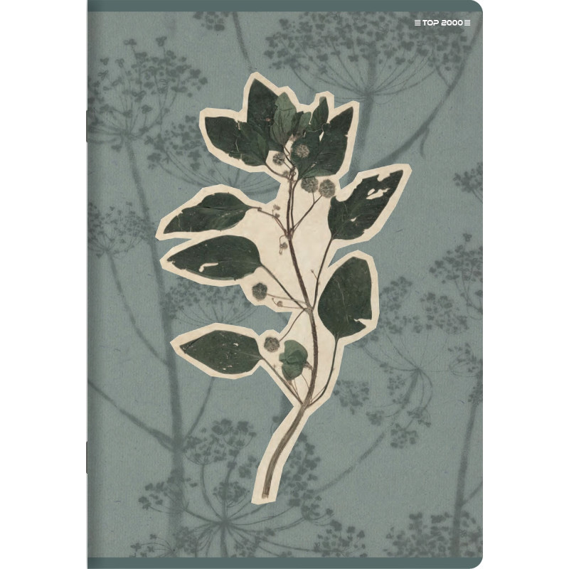 Zeszyt A5 60k linia margines 70g FLOWERS 400169420 TOP 2000