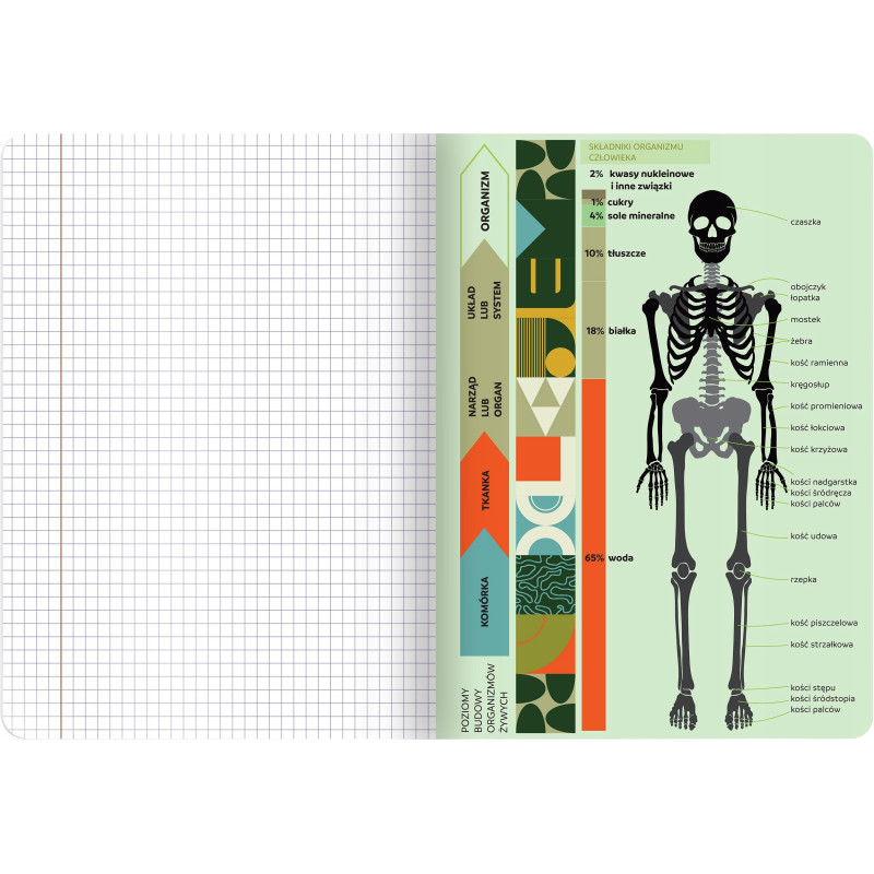 Zeszyt A5 60k kratka 70g ze ściągami BIOLOGIA 400169460 TOP 2000
