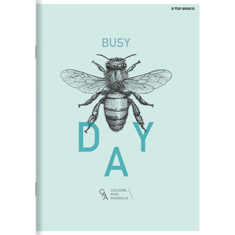 Zeszyt A5 60k linia margines 70g MEGAMIX 400168850 TOP 2000