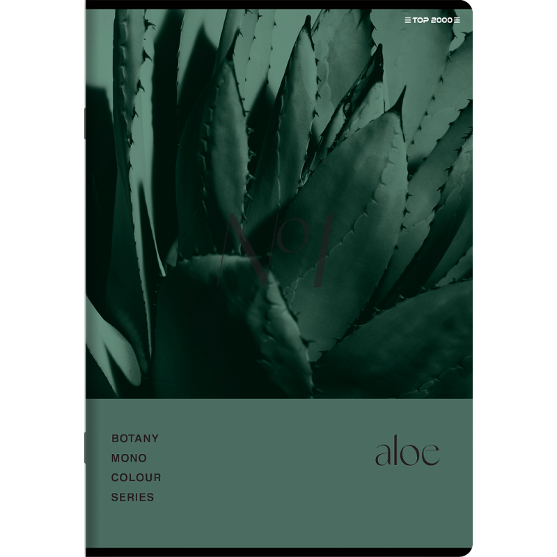 Zeszyt A5 60k kratka margines BOTANY 400182432 TOP 2000