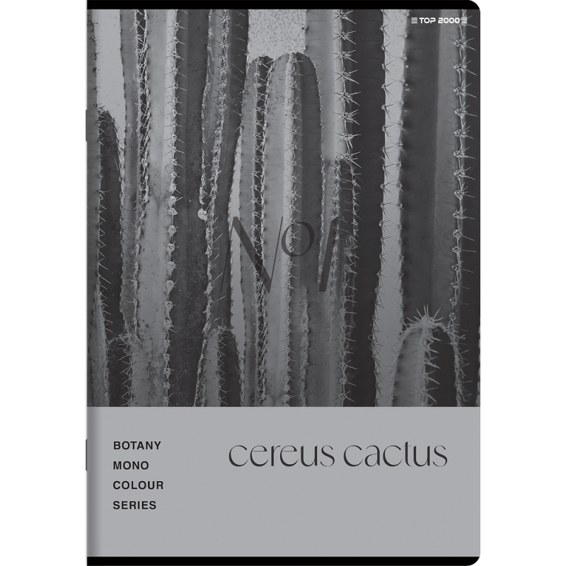 Zeszyt A5 60k kratka margines BOTANY 400182432 TOP 2000