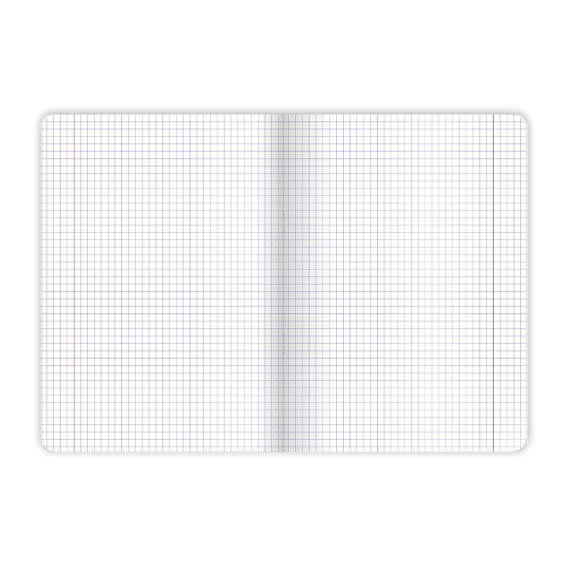 Zeszyt A5 60k kratka margines BOTANY 400182432 TOP 2000