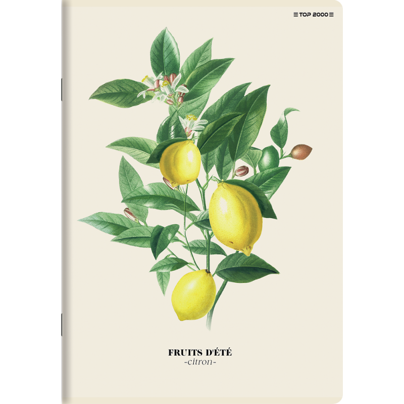 Zeszyt A5 60k kratka margines SUMMER 400181620 TOP 2000