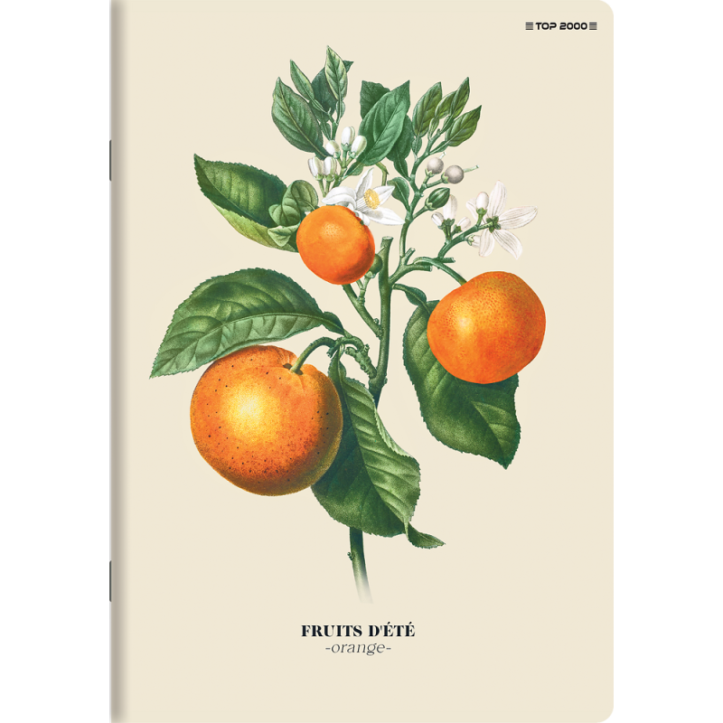 Zeszyt A5 60k kratka margines SUMMER 400181620 TOP 2000