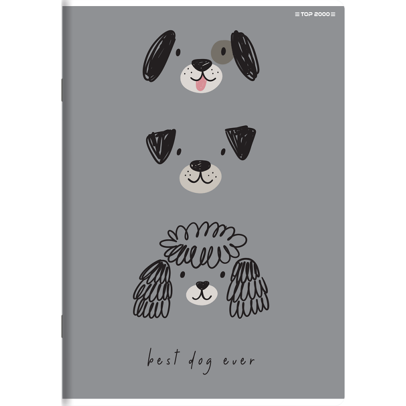 Zeszyt A5 32k 3linia kolorowa MEGAMIX 400183672 TOP 2000