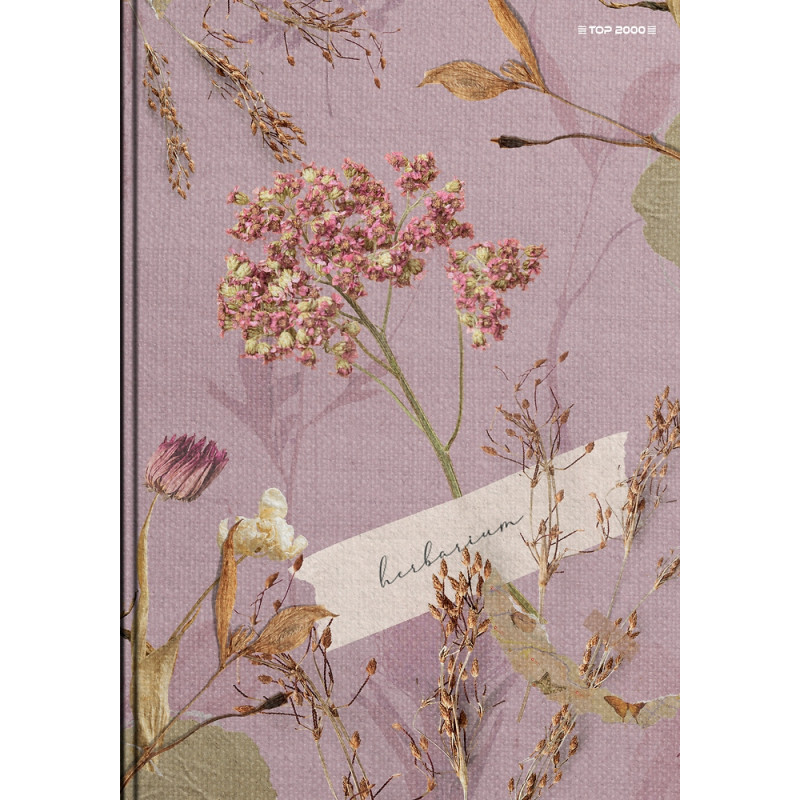 Zeszyt szkolny A5 Brulion 96 kartek w linię z marginesem MEGAMIX 400183671 TOP 2000