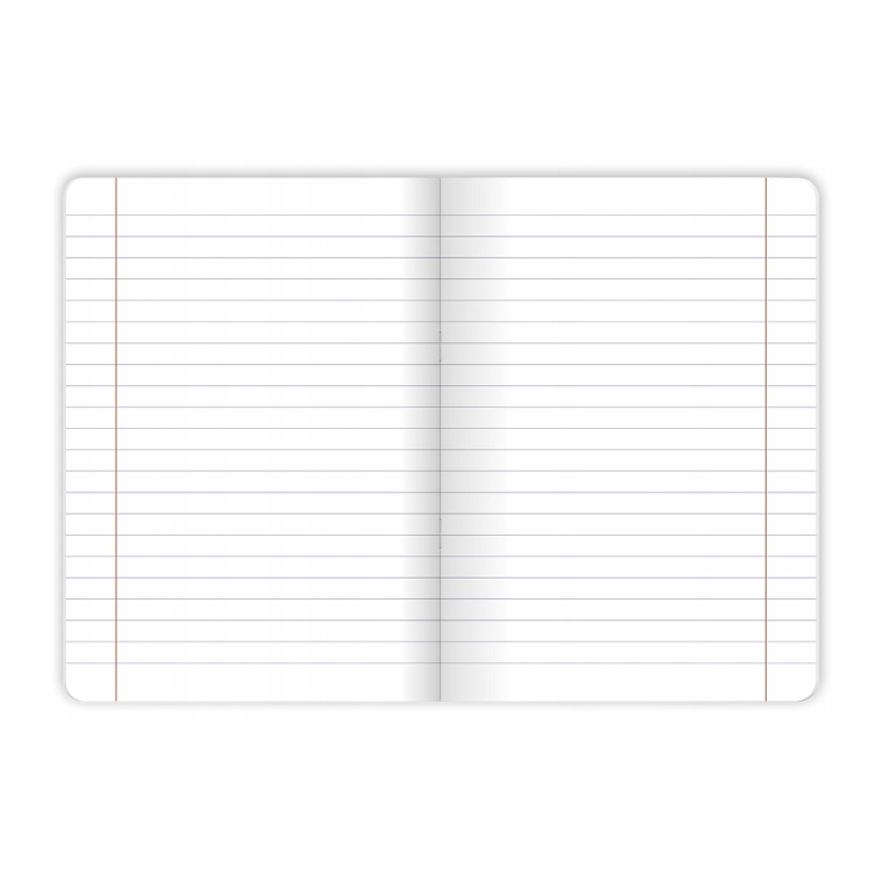 Zeszyt A5 60k linia margines BIRDS EYE 400181622 TOP 2000