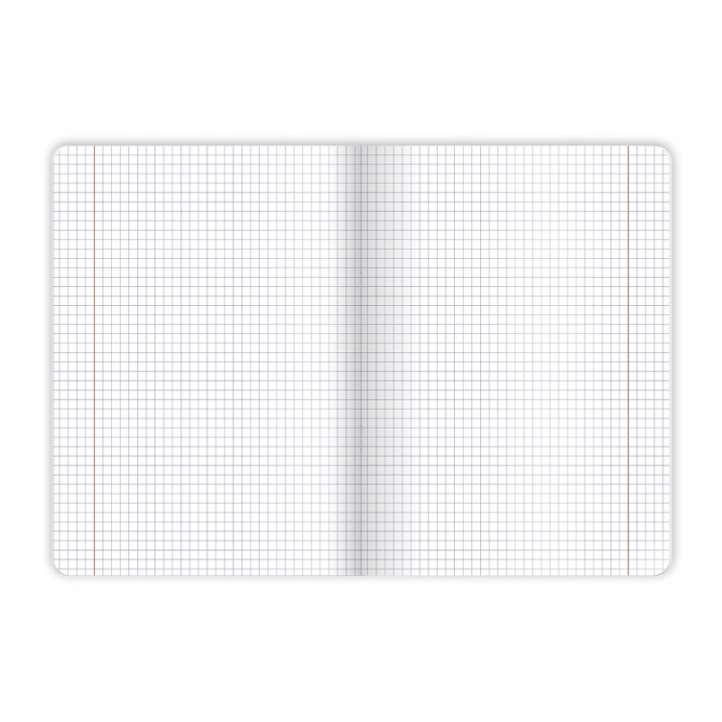 Zeszyt A5 80k kratka margines BOTANY 400181619 TOP 2000