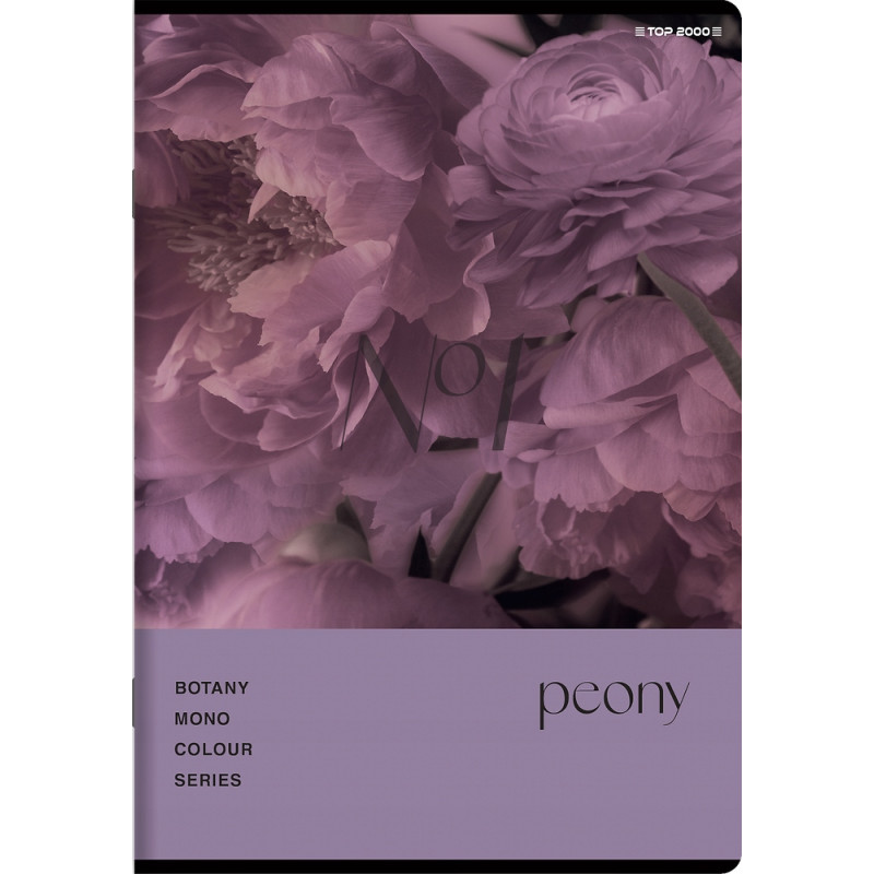 Zeszyt A5 96k kratka margines BOTANY 400182448 TOP 2000