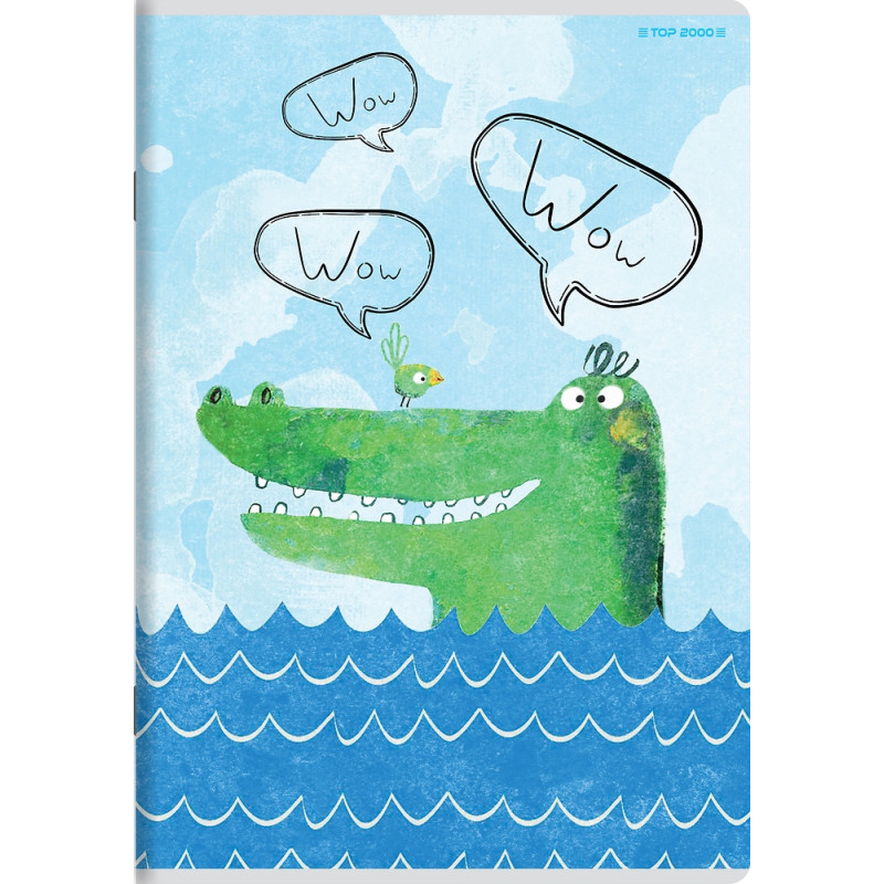 Zeszyt A5 16k kratka BOYS CARD 400183784 TOP 2000