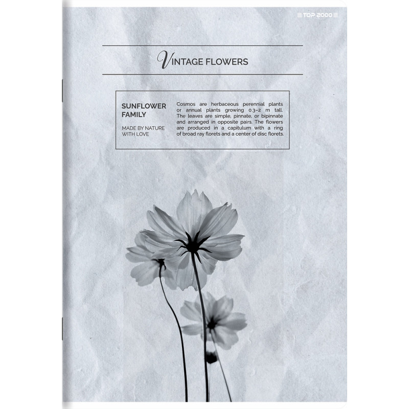 Zeszyt A5 60k kratka margines MEGAMIX 400181758 TOP 2000