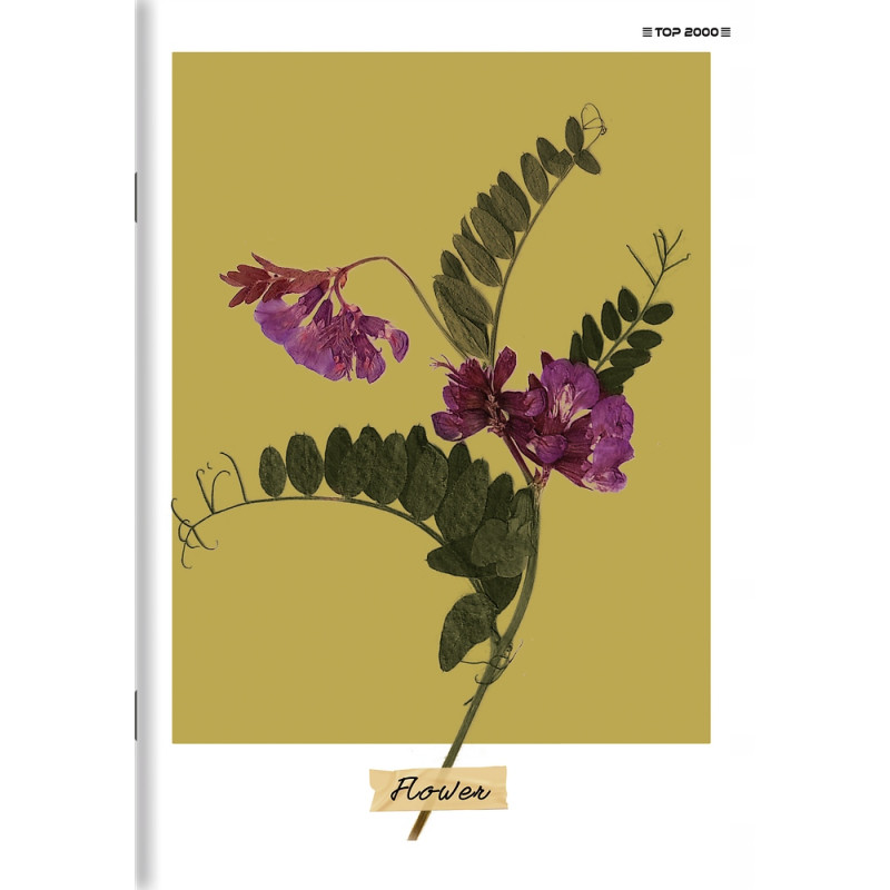 Zeszyt A5 80k kratka margines MEGAMIX 400181770 TOP 2000