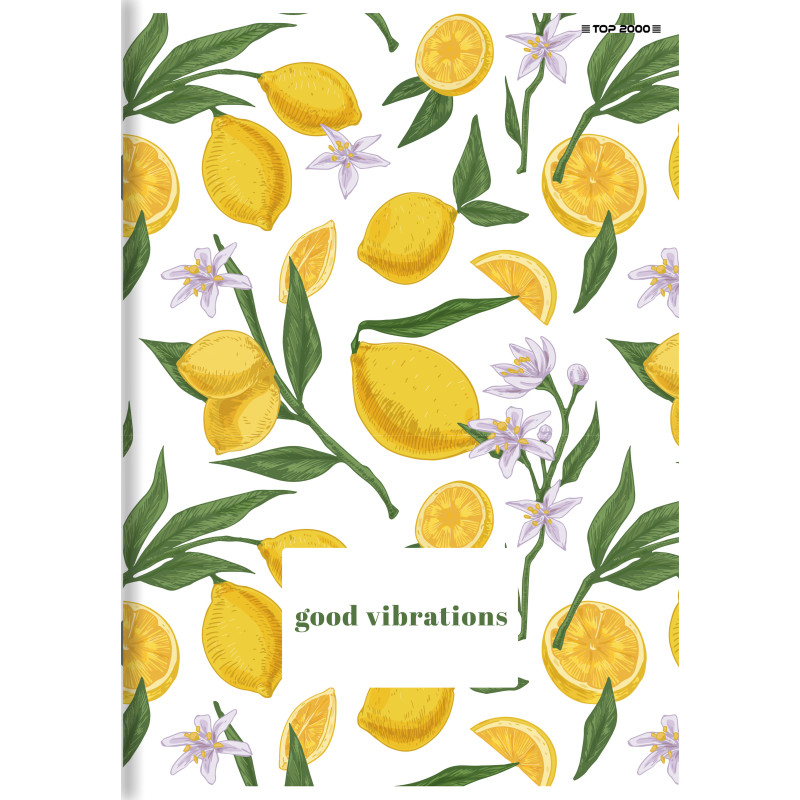 Zeszyt A5 60k kratka BASIC 400184407 TOP 2000