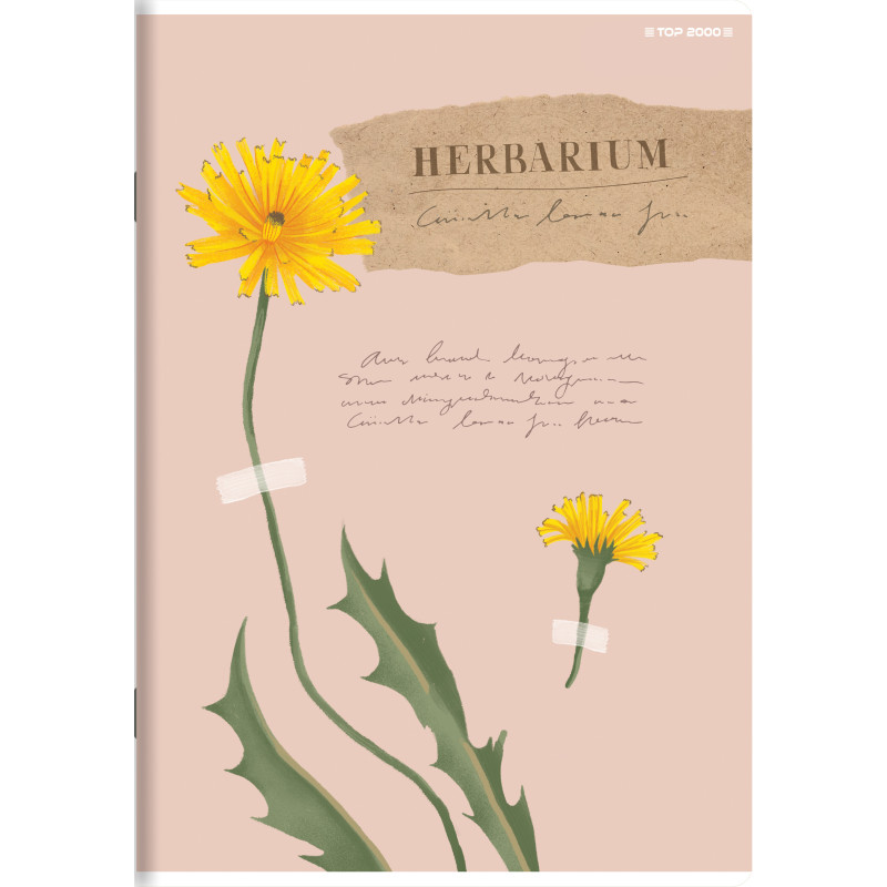 Zeszyt A5 60k kratka BASIC 400184407 TOP 2000