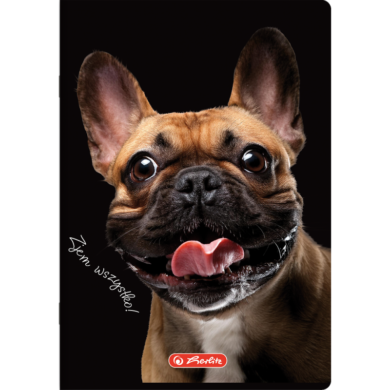 Zeszyt szkolny A5 16 kartek w kratkę kolorową 70g ANIMALS 400196855 HERLITZ