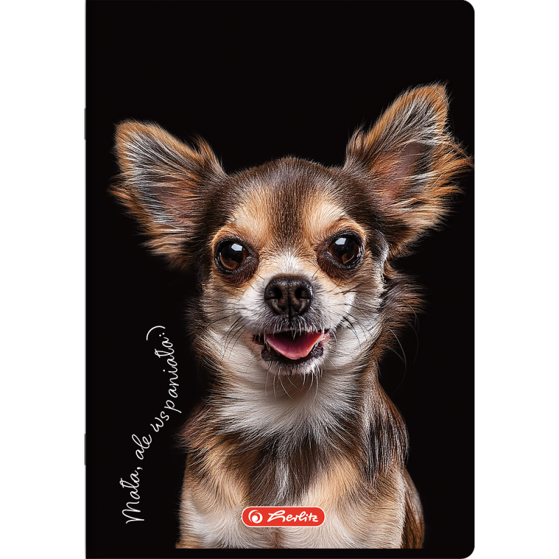 Zeszyt szkolny A5 16 kartek w kratkę kolorową 70g ANIMALS 400196855 HERLITZ