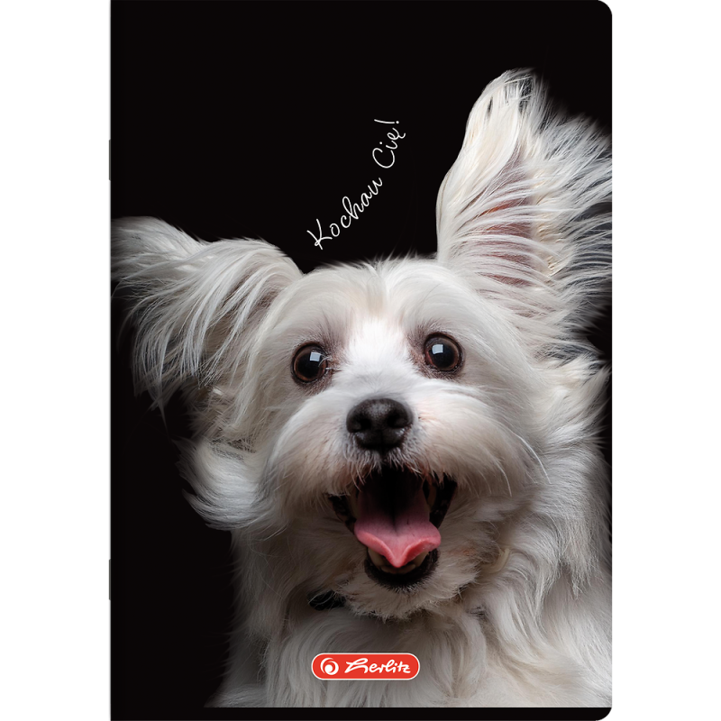 Zeszyt szkolny A5 16 kartek w kratkę kolorową 70g ANIMALS 400196855 HERLITZ