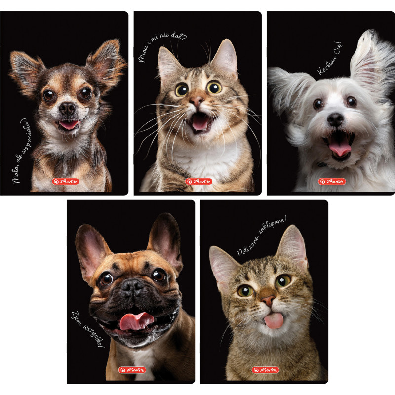 Zeszyt szkolny A5 80 kartek w kratkę 70g CRAZY ANIMAL 400196839 HERLITZ