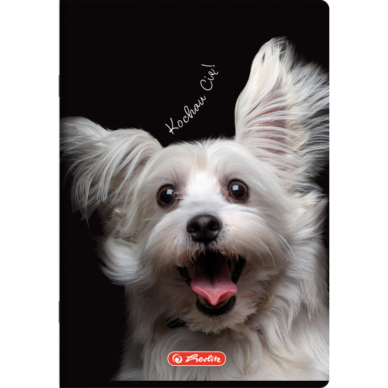 Zeszyt szkolny A5 60 kartek w linie 70g CRAZY ANIMAL 400196838 HERLITZ