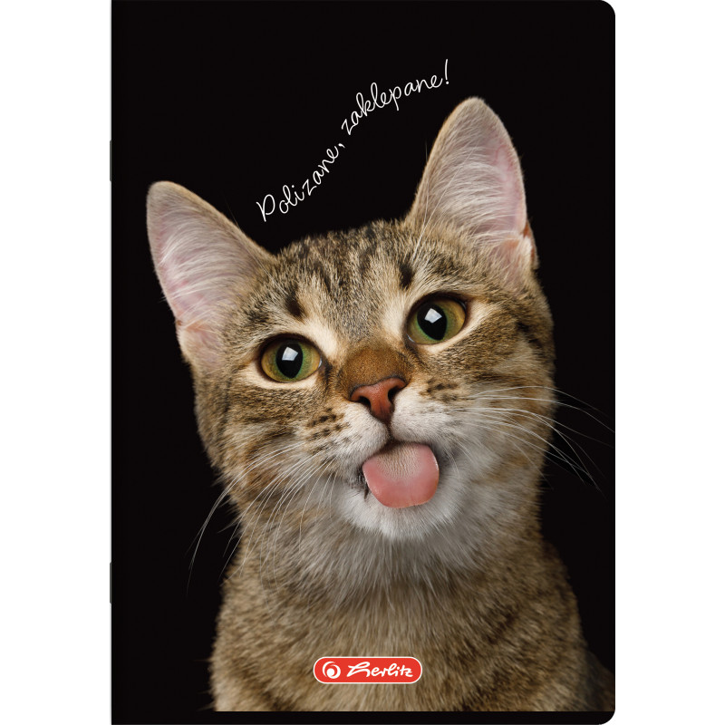 Zeszyt szkolny A4 60 kartek w kratkę 70g CRAZY ANIMAL 400196844 HERLITZ