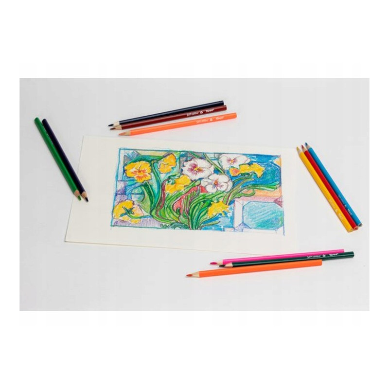 Kredki ołówkowe trójkątne 12 kolorów TO-544 TOMA