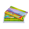 Kredki pastele olejne CRICCO 48kol CR481K48