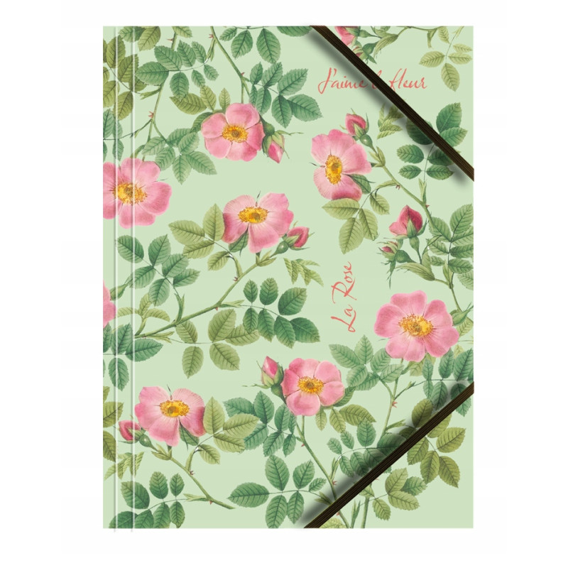 Teczka kartonowa A4 z gumką na rogach 350g. RÓŻE (6sztuk) BT601-M4 TETIS