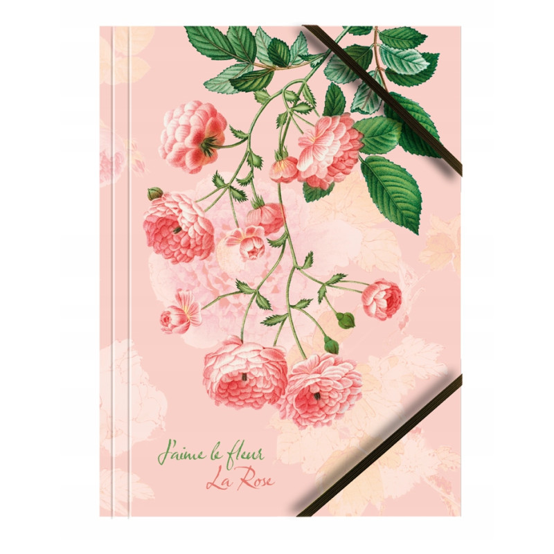 Teczka kartonowa A4 z gumką na rogach 350g. RÓŻE (6sztuk) BT601-M4 TETIS