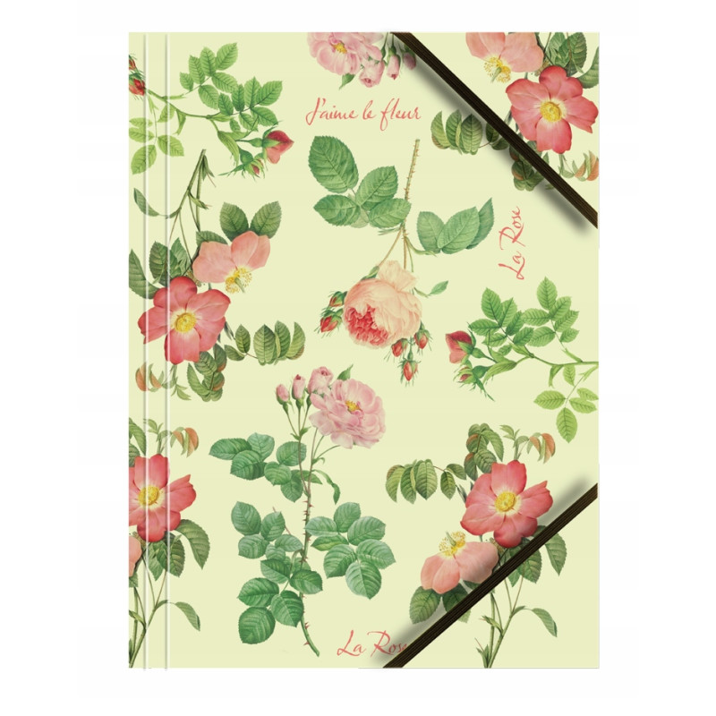 Teczka kartonowa A4 z gumką na rogach 350g. RÓŻE (6sztuk) BT601-M4 TETIS