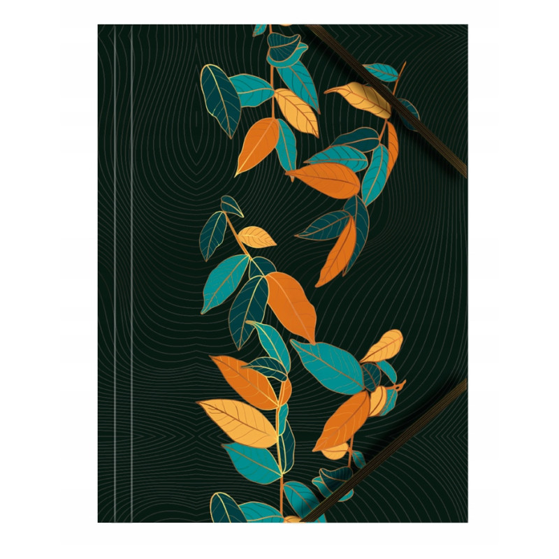 Teczka kartonowa A4 z gumką na rogach 350g. LIŚCIE (6sztuk) BT601-M2 TETIS