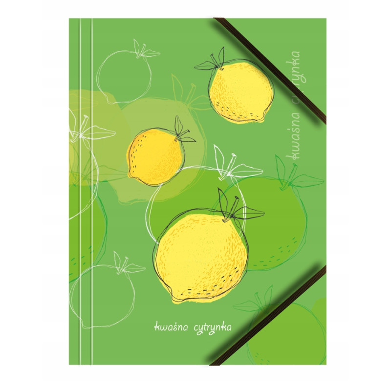 Teczka kartonowa A4 z gumką na rogach 350g. OWOCE (6sztuk) BT601-M1 TETIS