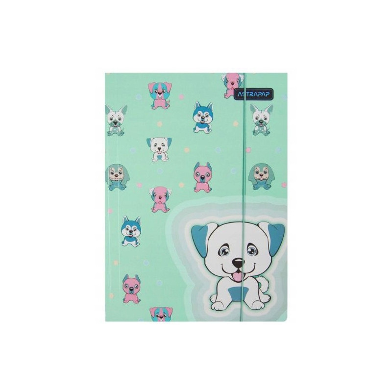 Teczka na dokumenty A4 z gumką PASTEL ANIMALS 108024001 ASTRA