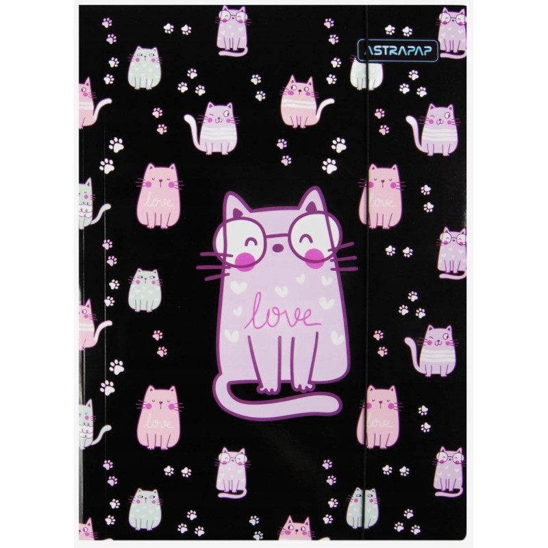 Teczka na dokumenty A4 z gumką GIRLS WORLD 108024002 ASTRA