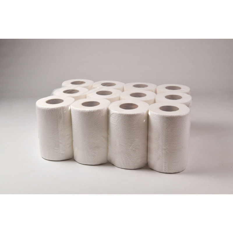 Ręcznik celuloza 19cm 50m 2w (12sztuk) RC50/2 MINI MISTRAL