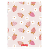 Zeszyt A5 32k 3-linia kolorowa mix 400206339 HERLITZ
